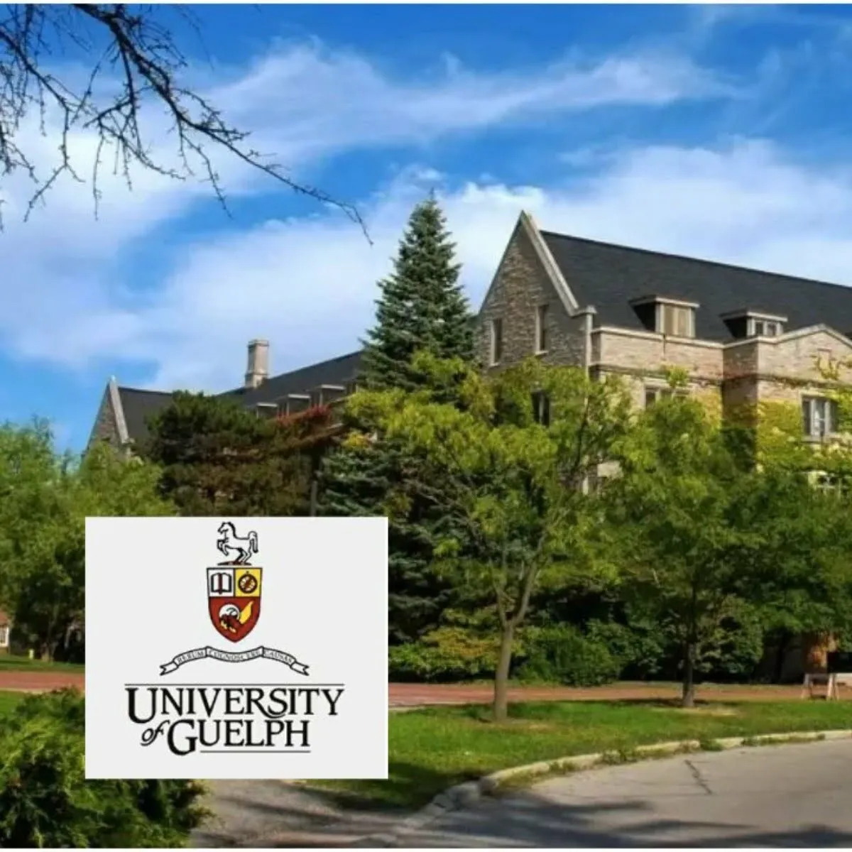 Apply For The University of Guelph Arrell Food Institute Scholarships