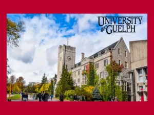 Apply For The University of Guelph Arrell Food Institute Scholarships 