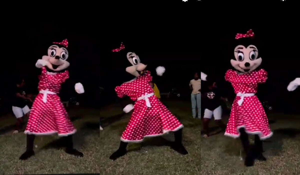 Video of Minnie Mouse Busting Up Some Amapiano Dance Moves At A Party Leaves Mzansi In Stitches