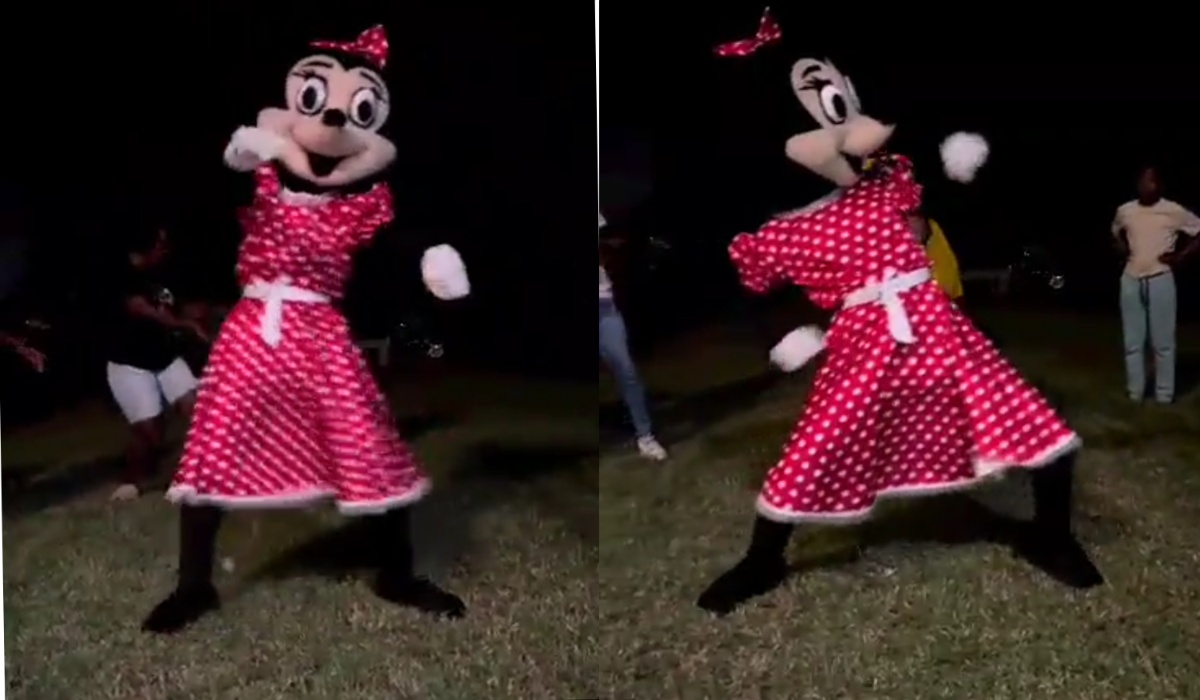 Video of Minnie Mouse Busting Up Some Amapiano Dance Moves At A Party Leaves Mzansi In Stitches