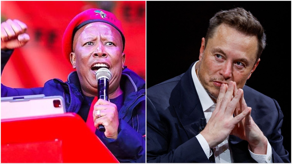 Julius Malema Elon Musk