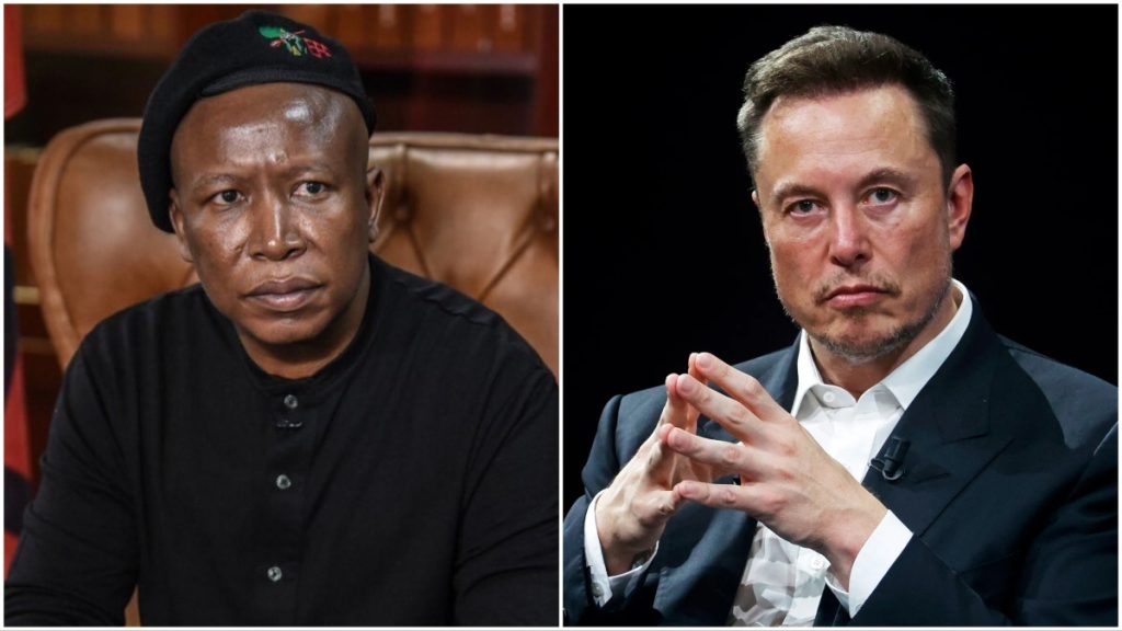 I think you've lost your left brain - Elon Musk slams Elon Musk after South African politician Julius Malema calls on him to be declared an international criminal )?