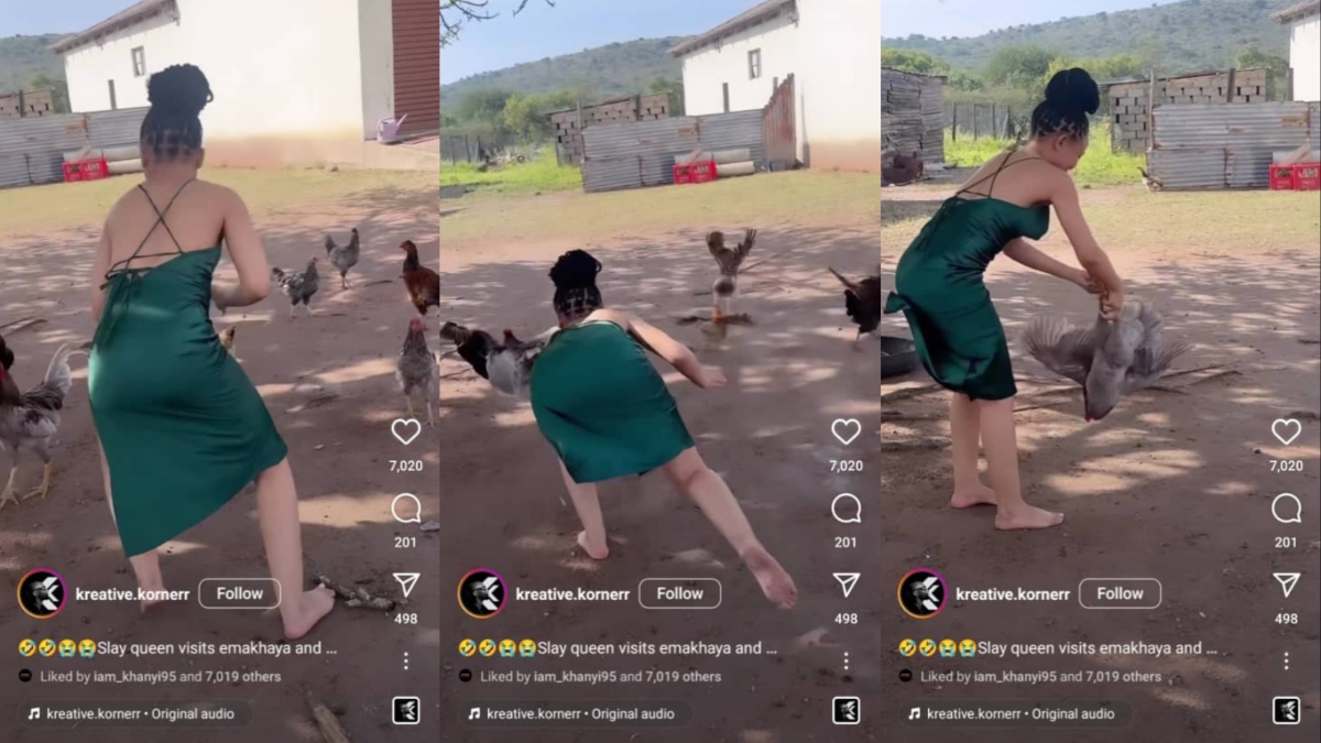 Slay Queen's Chicken Chase