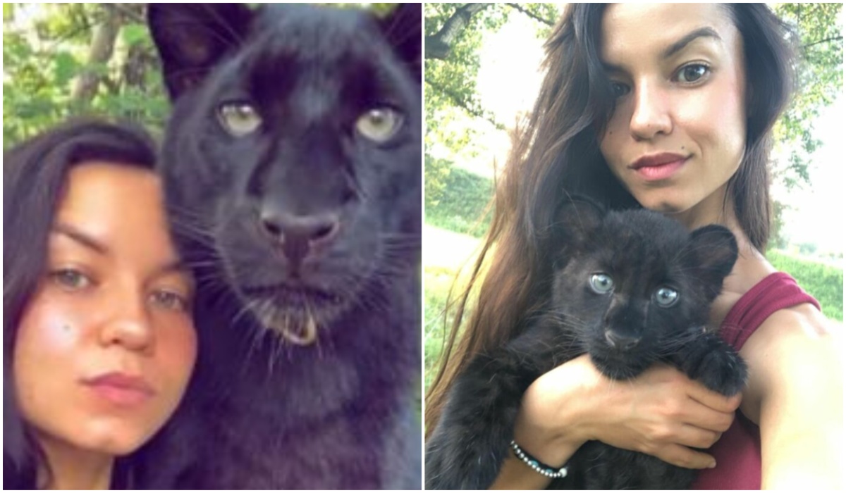 Woman Accidentally Raises a Black Panther after Mistaking it to Be a Kitten