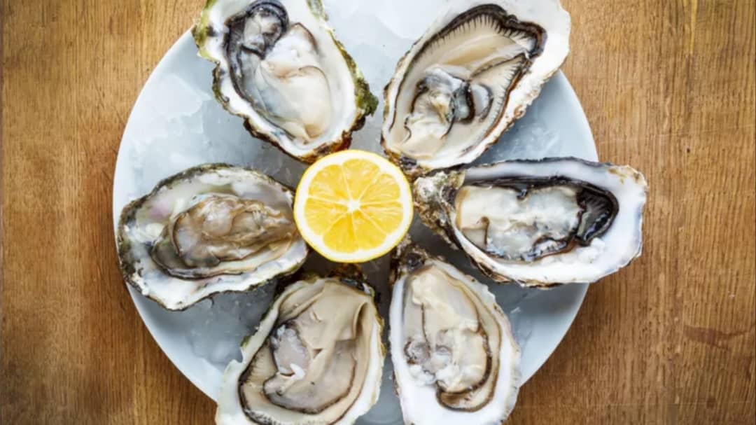 Texas Man Dies Oyster