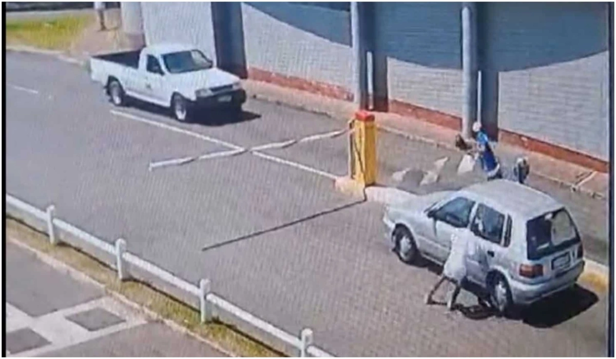 Courageous Durban Woman Runs Over Robber with Her Own Car to Save Her Handbag