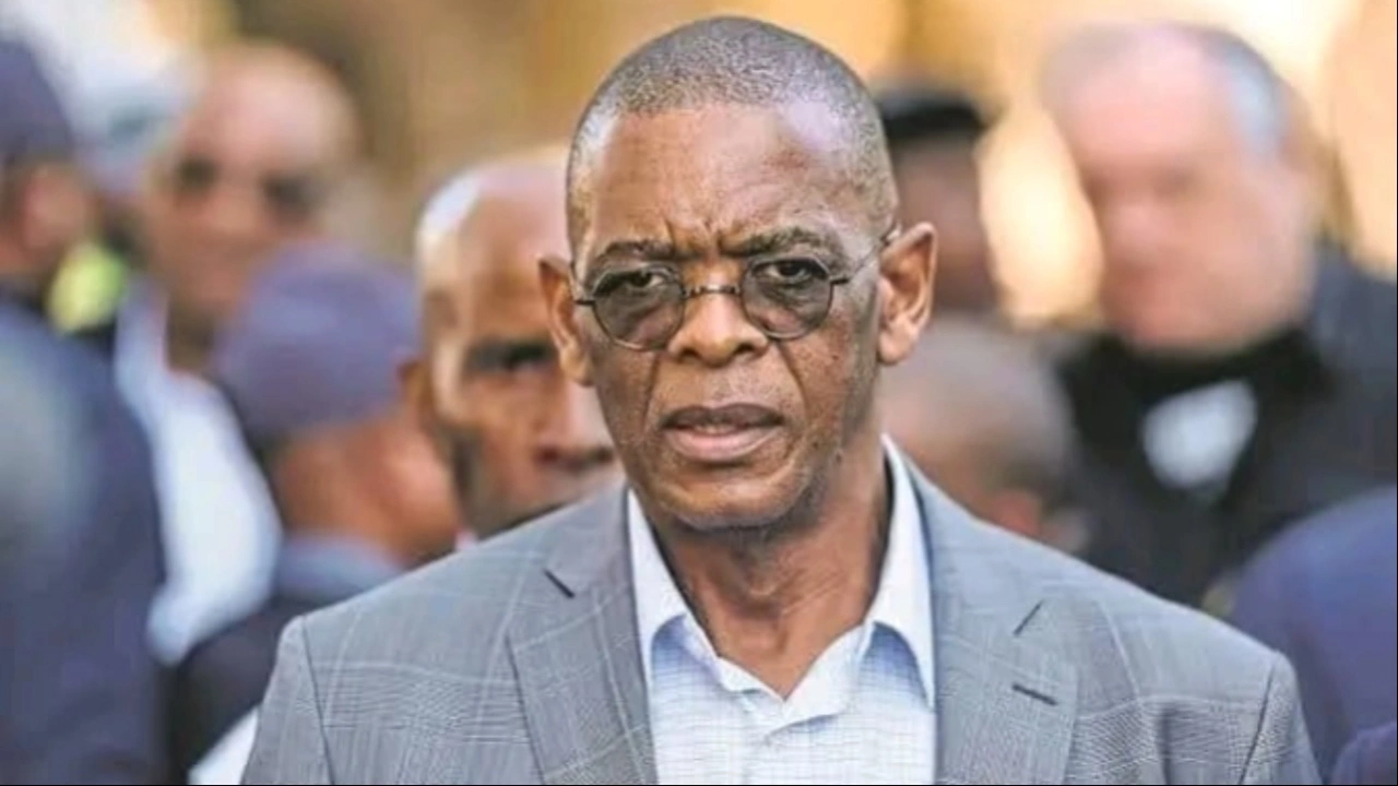 Ace Magashule Assault