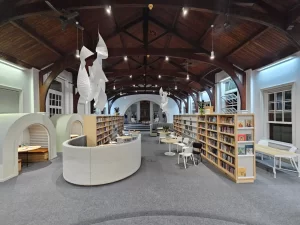 Anele Tembe library
