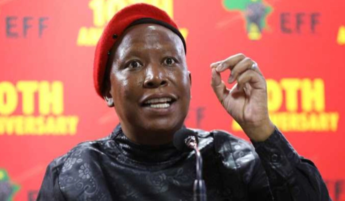 EFF President Julius Malema Urges South Africans to Have More Children