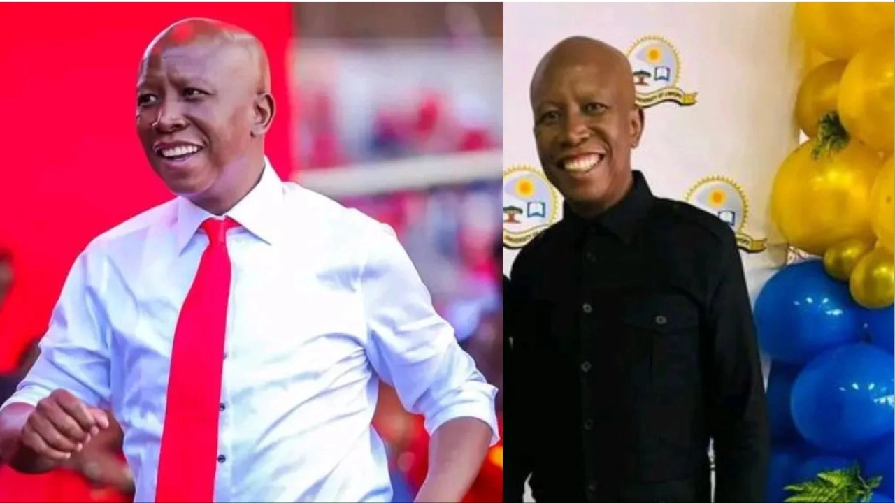 julius Malema weight loss